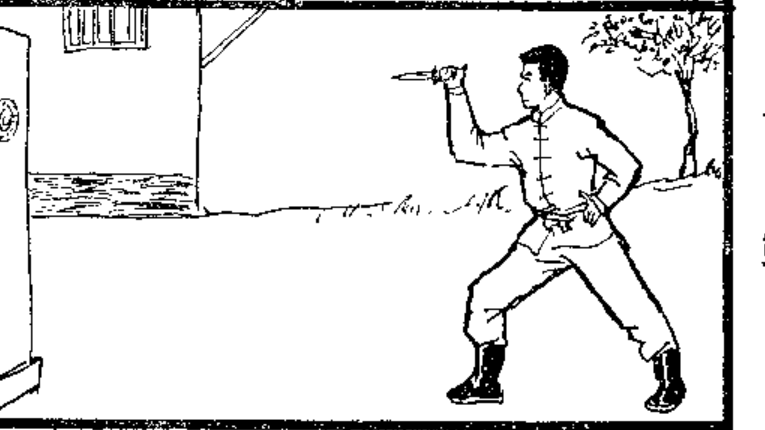 Chinese FEIJIAN (Throwing dagger)